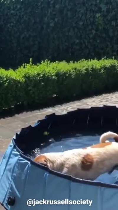 This new game seems like a lot of fun