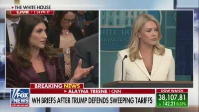 WH Press Secretary Leavitt on Elon Musk describing Navarro as dumber than a sack of bricks: 