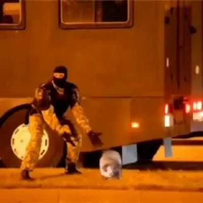 this one dog in every game: