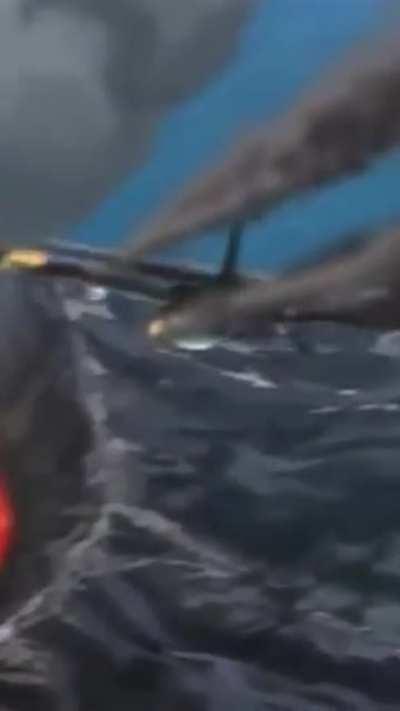 “I’m tired of these motherfu**ing furries on this motherfu**ing plane”