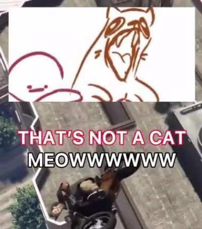 ima put my cat on the mic