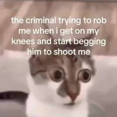 Me when being robbed: