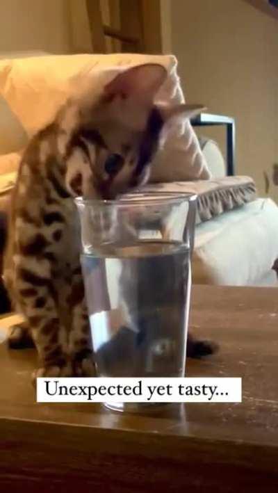 Yep. I Meant To Do That.