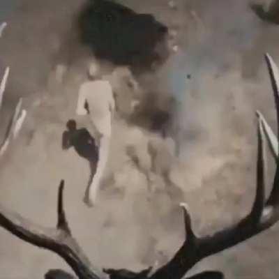 What the legendary animals should have been.