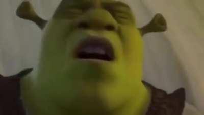 dammit shrek not again