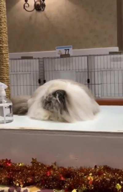 Когда ты очень хорош 