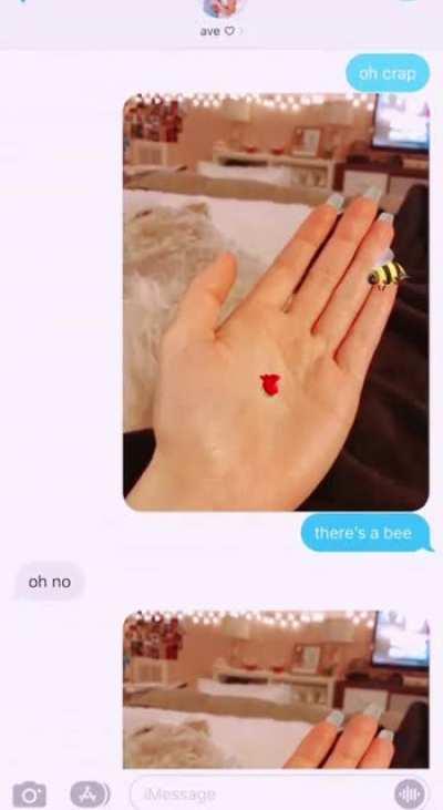 dude understood the assignment