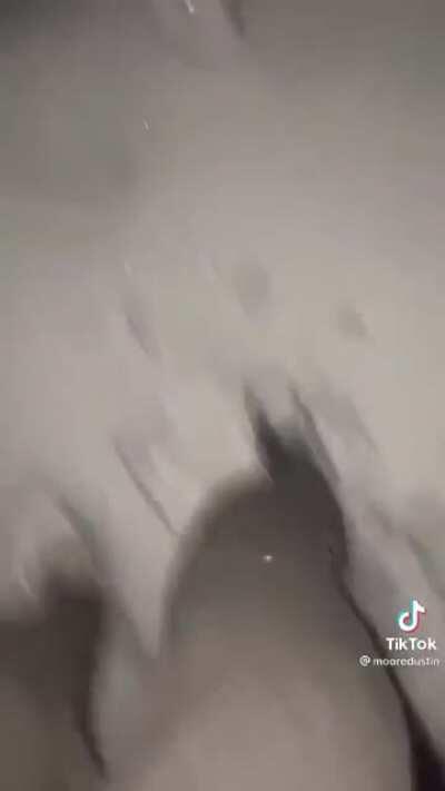 The shoe just walked away.