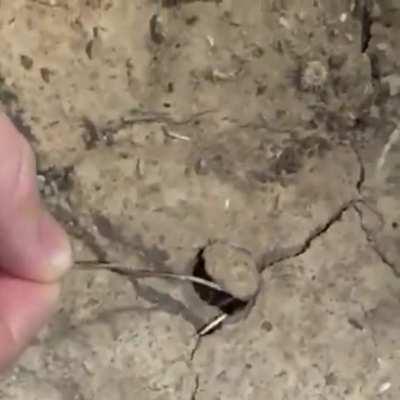 Excuse me sir, do you have a moment to talk about Jesus Chri.. oh