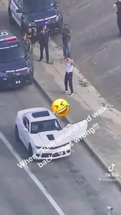 Did the cops stop working or did the criminal?