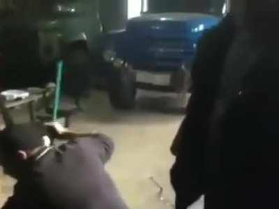 A group of bros save a deer from a certain death in the frozen river and bring it back to life