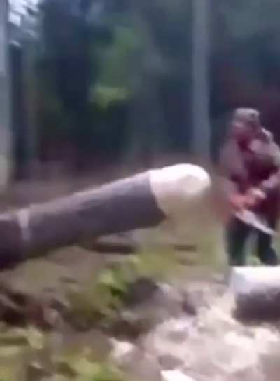 Morning Wood Literally