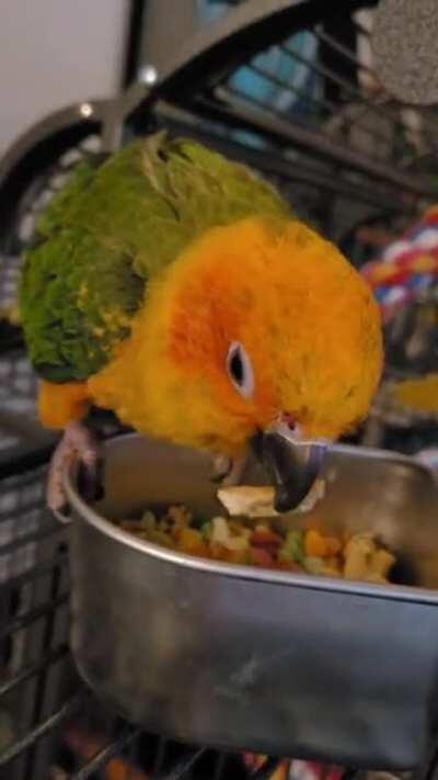MunchyBorb