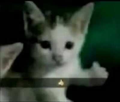 Today is my 16th birthday 🎉