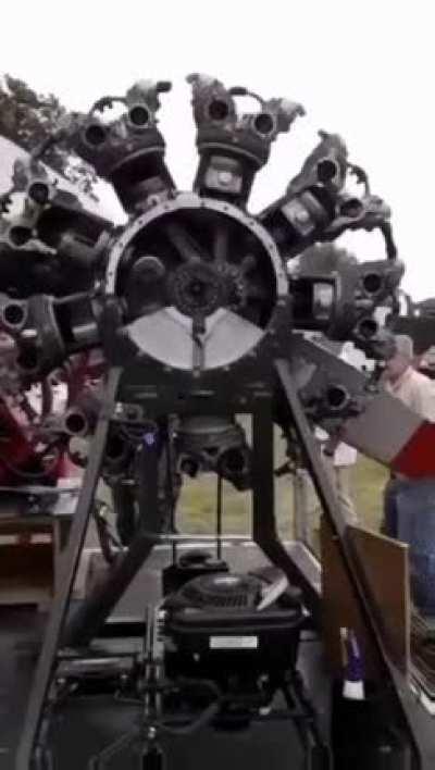 Aviation radial piston engine