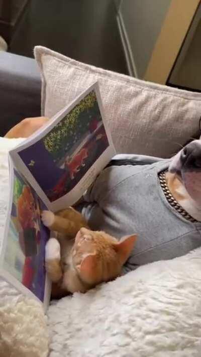 What a nice moment...