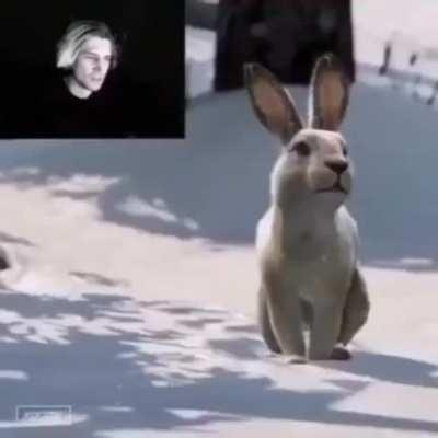 I'm 15 and this is yeet