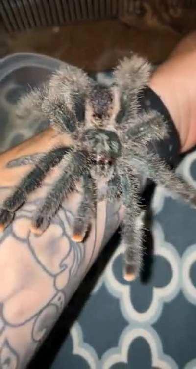 My metallic pink toe ! Help me name her