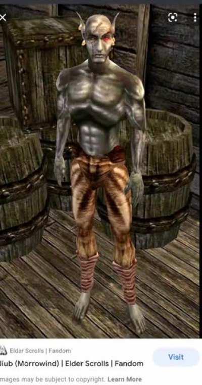 An interview with my 4-year-old niece about her thoughts on some Morrowind characters.