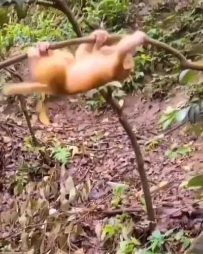 Practicing climbing with mom