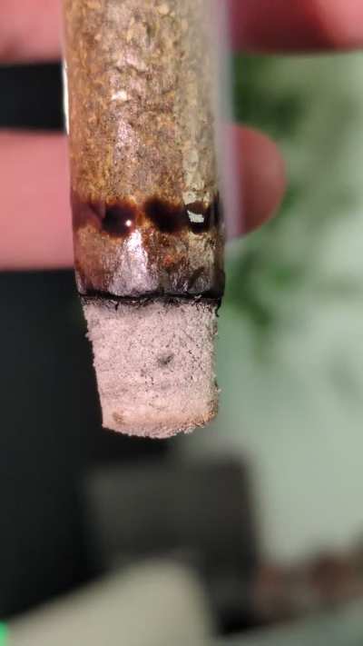 Who has tried the new Santa Cruz Shredder, Large 2 Piece Hemp?