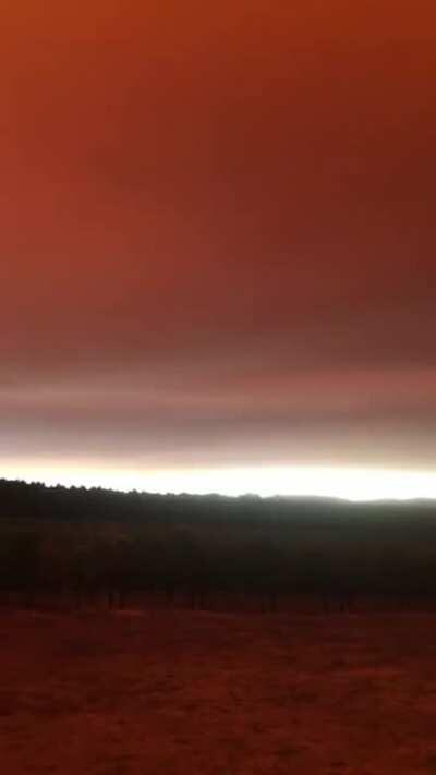 Ominous view of the smoke from a friend’s vineyard in Dallas, OR.