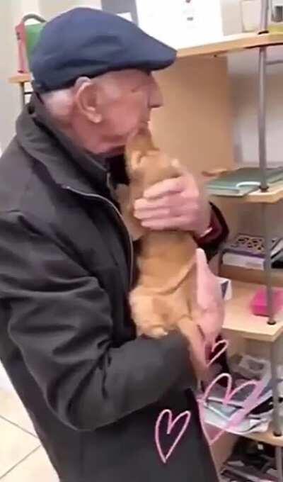 Precious puppy loving an old man