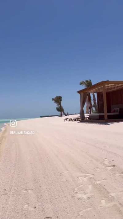 Bruna Biancardi - @brunabiancardi 