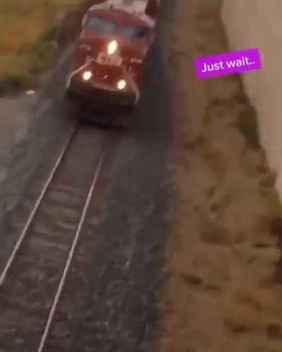 Bitch I’ll show you how a honk sounds
