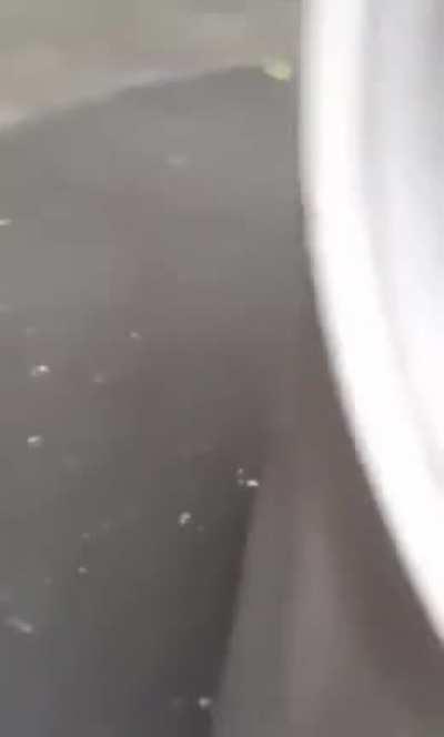 Дэвид Копперфильд младший