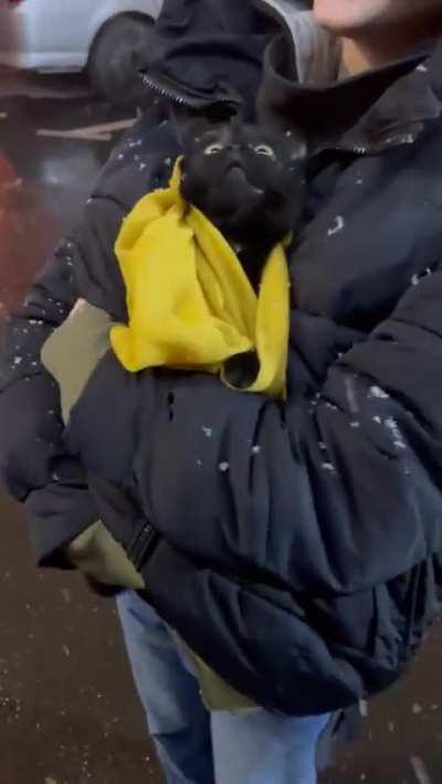 Watching falling snow with wide eyes