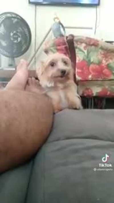 When you need something but you’re too shy