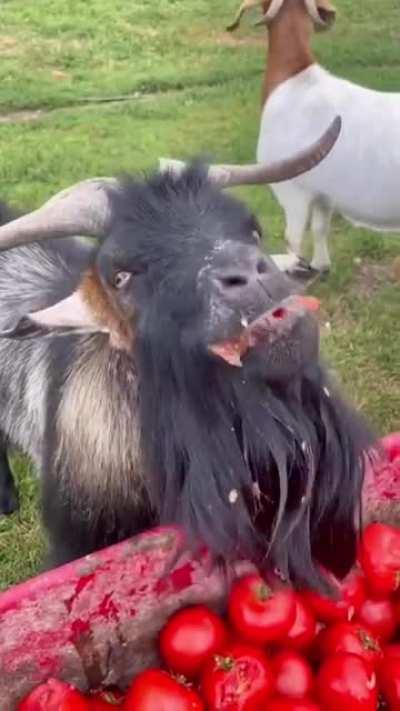 When you send your last remaining son to die on a futile mission.