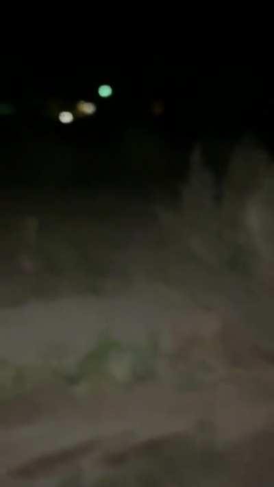 cursed_ I miss summer nights