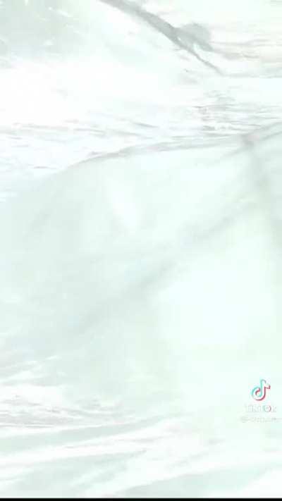 Man gets eaten by the tarp