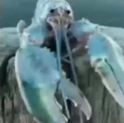 WARNING (If it was posted here already, then i will delete this)