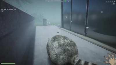 Hello friends! how do you like this idea?) raccoon game😍
