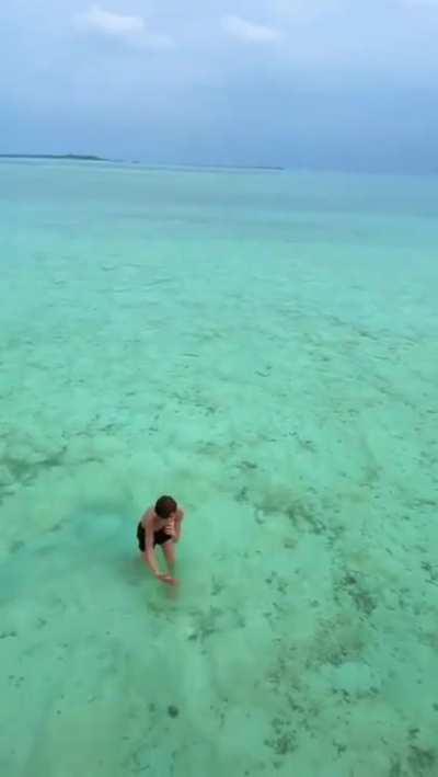 SHARKS HAVE SEX WITH A LITTLE BOY