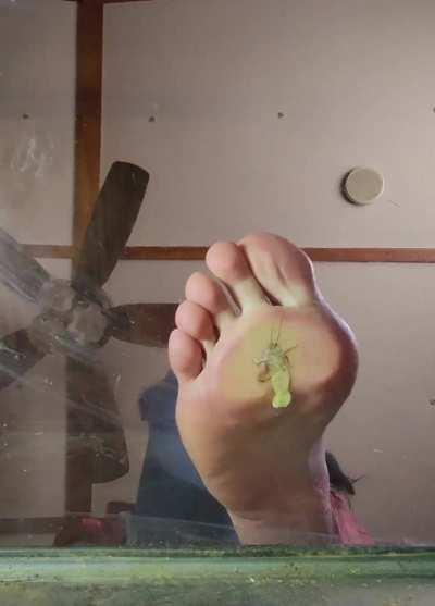 Video I personally filmed 