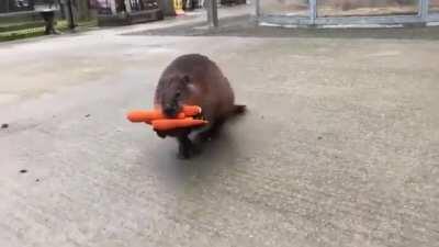 Deutsche Urlauber beim All Inclusive Buffet