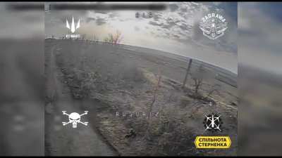 Ukrainian Unmanned Systems Forces 