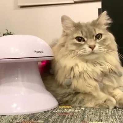 Rise of the machines