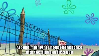 thanks, i hate spongebob getting sexually propositioned by a gorilla