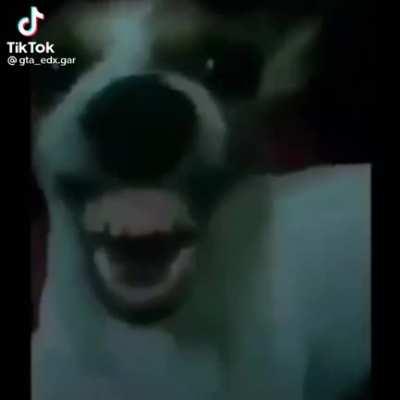 aweonasogang - Video #7937