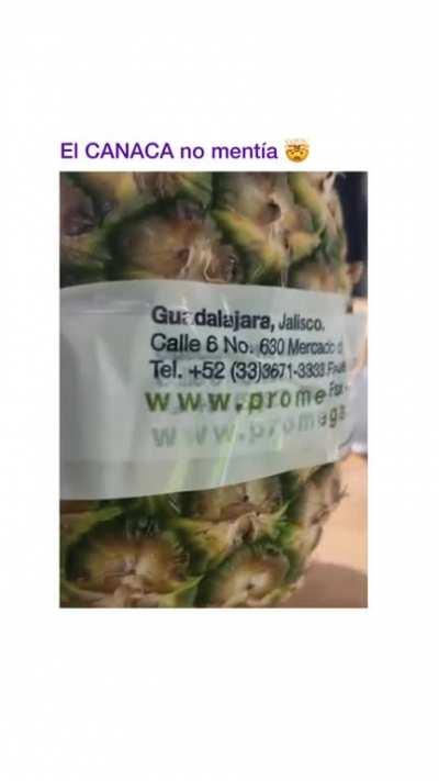 Y lo amarraron como puerco...