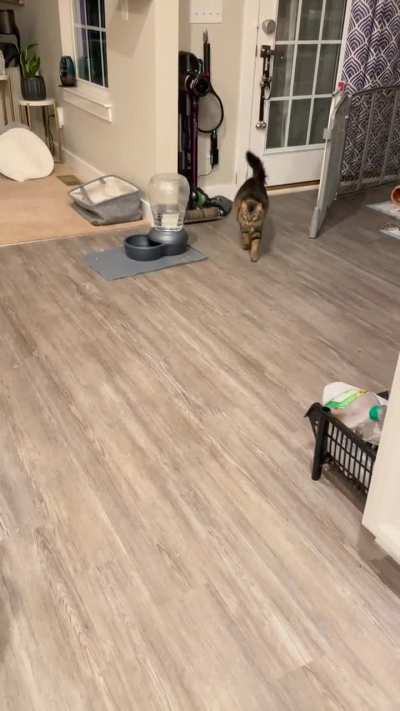 The chilly weather calls to us all!