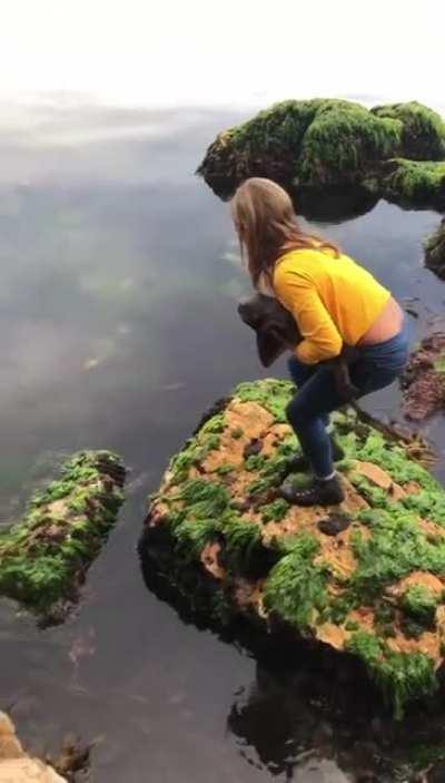 An 11 y.o. girl rescuing a stranded Draughtboard Shark that got wedged between two rocks at low tide.