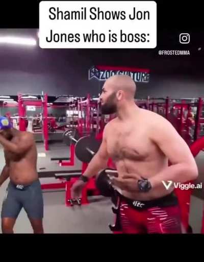 New UFC fan. Is this real?