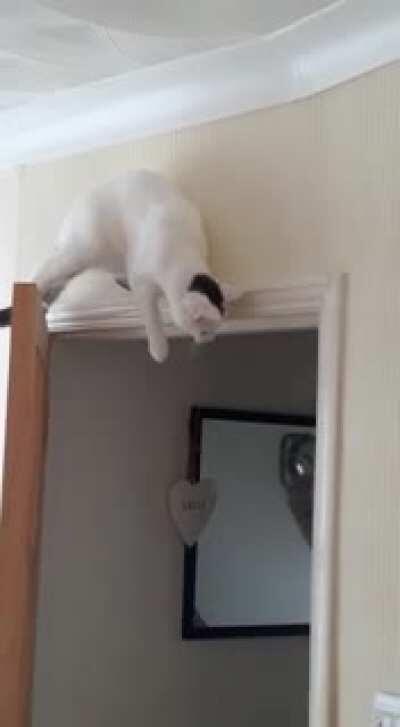 WCGW standing ontop of the door