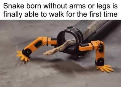 Such a wholesome moment